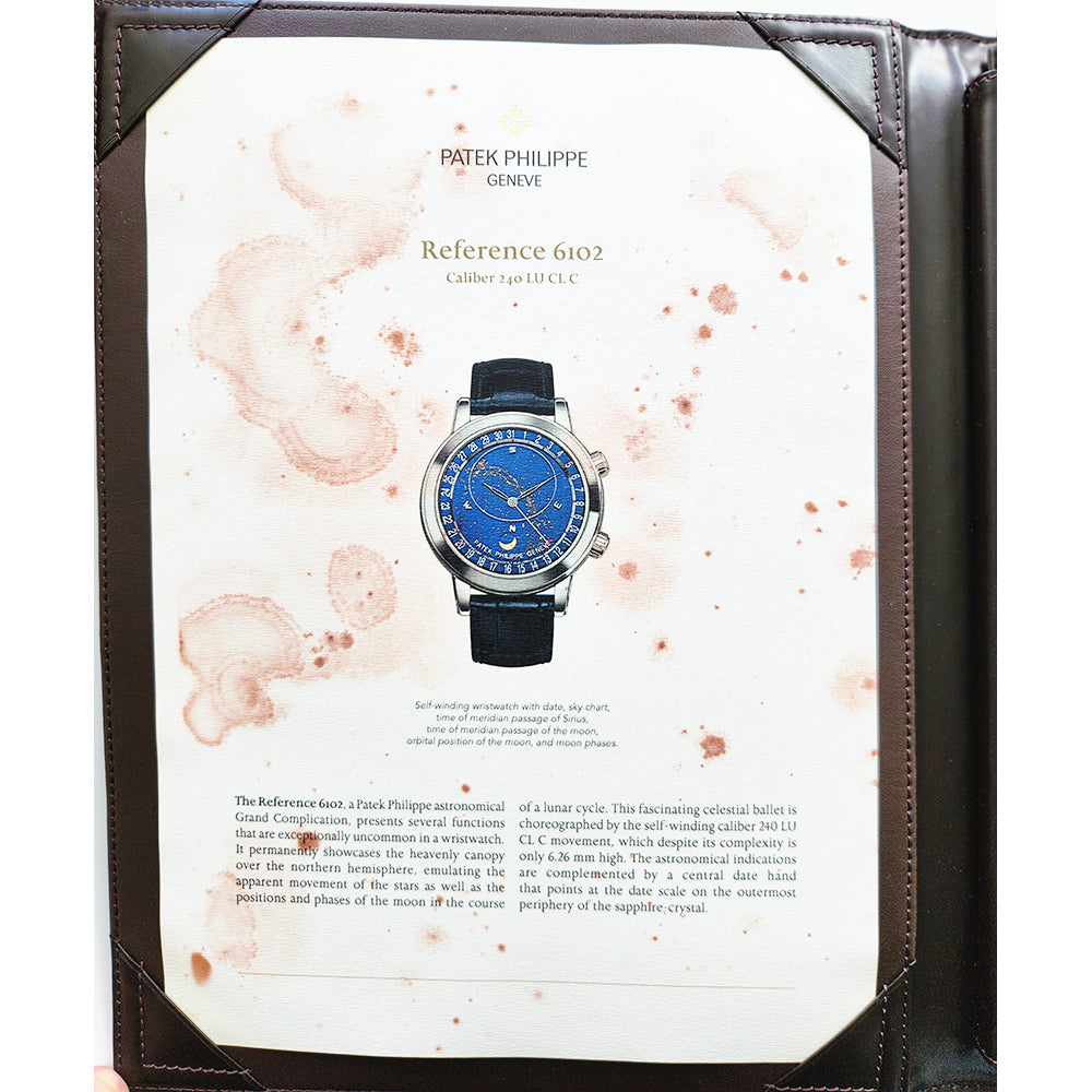 Patek Philippe Grand Complications 6102P-001