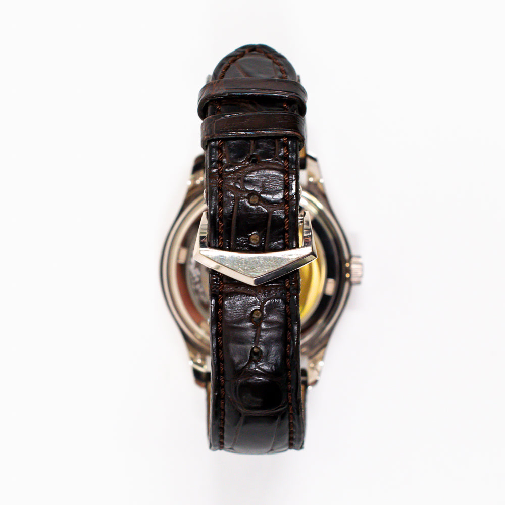 Patek Philippe Complications Annual Calendar 5146G-010