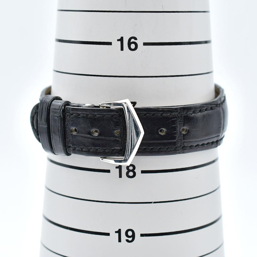 Patek Philippe Complications Annual Calendar 5135P-001