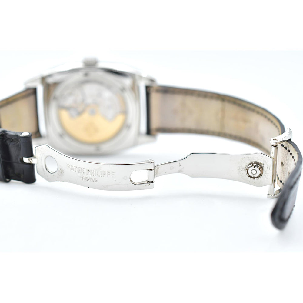 Patek Philippe Complications Annual Calendar 5135P-001