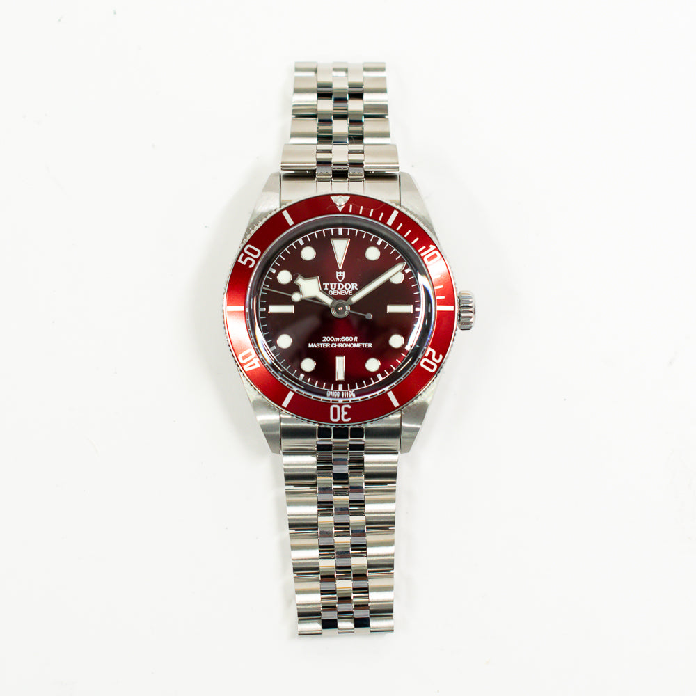 Tudor Black Bay 58 7939A1A